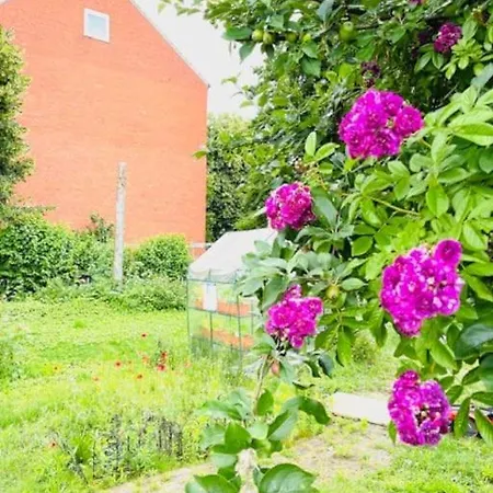 公寓 Luxurioese Ferienwohnung In Idyllischer Lage *